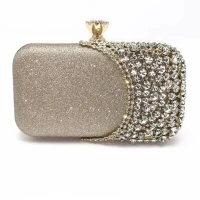 European American Luxury Party Bag  Glitter And Stone Purse